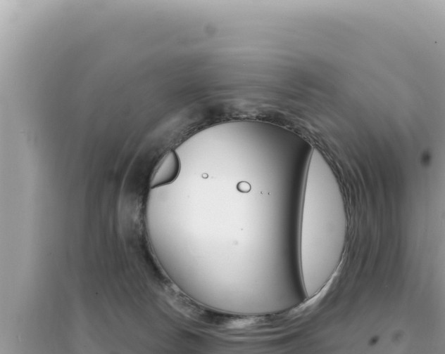 X0000095130178200712071017
