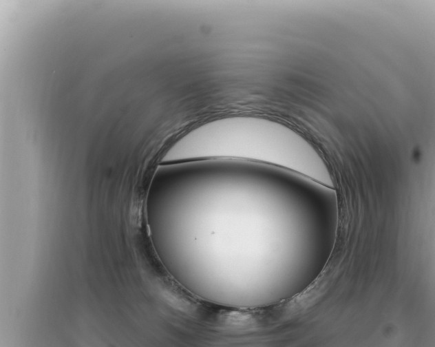 X0000095130180200712071017