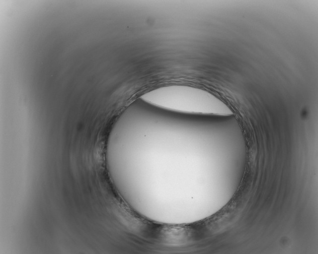X0000095130181200712071017