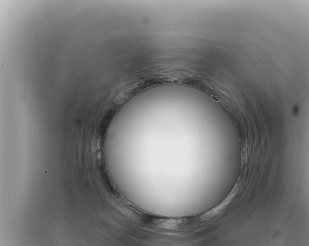 X0000095130182200712071017