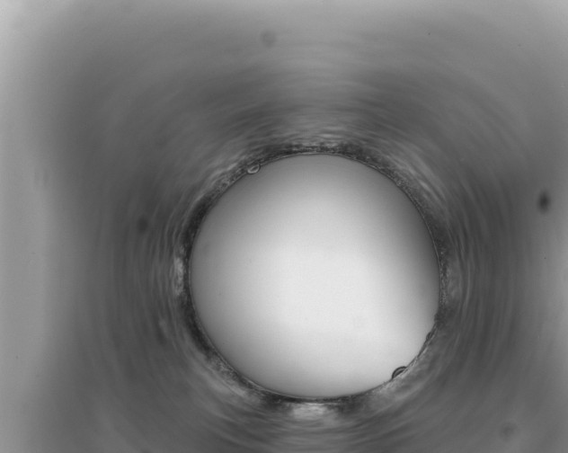 X0000095130183200712071017