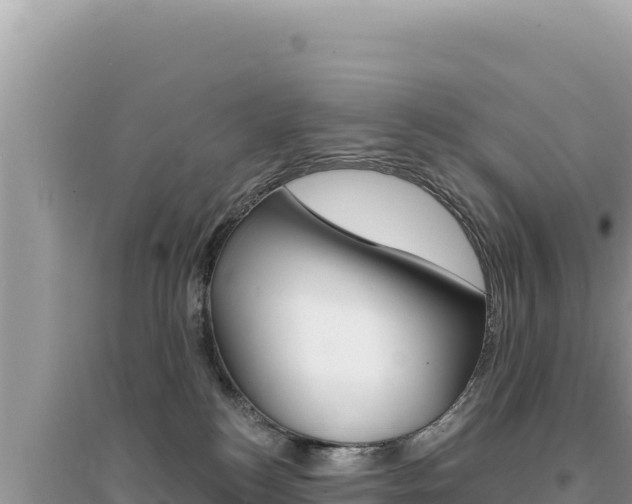 X0000095130184200712071017