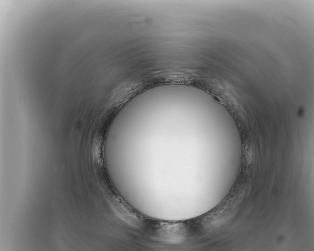 X0000095130185200712071017