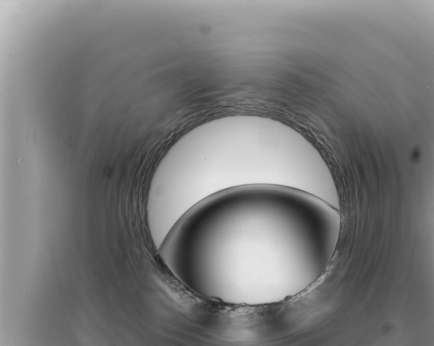 X0000095130186200712071017