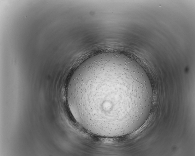 X0000095130187200712071017