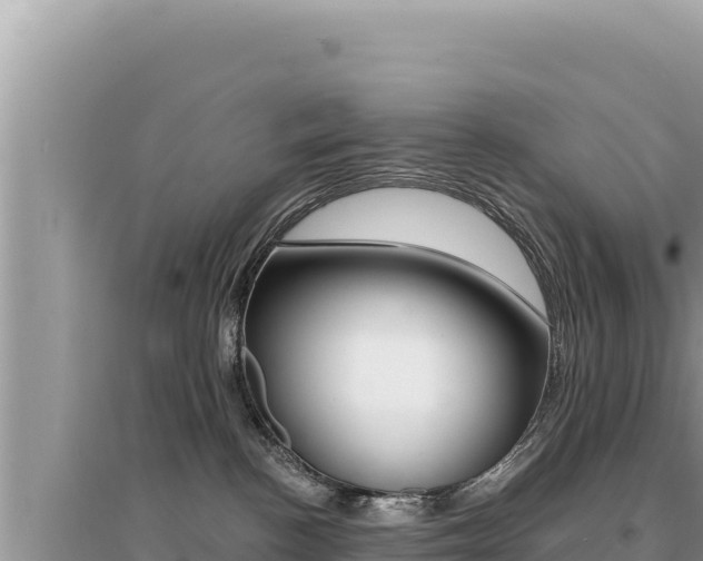 X0000095130188200712071017