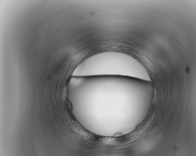 X0000095130189200712071017