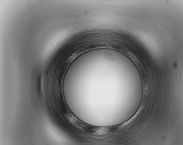 X0000095130191200712071017