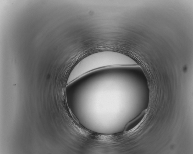X0000095130192200712071017
