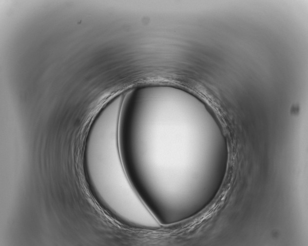 X0000095130193200712071016