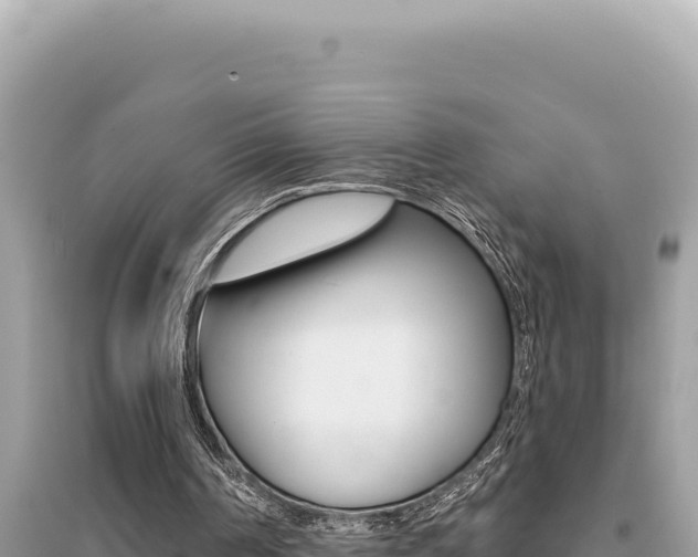 X0000095130194200712071016