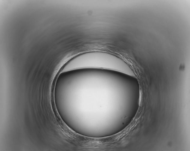 X0000095130195200712071016