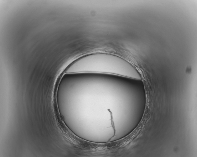 X0000095130196200712071016