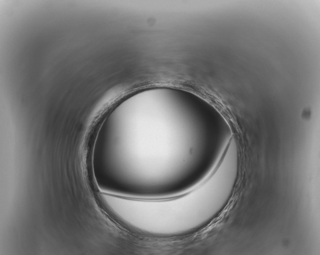 X0000095130197200712071016