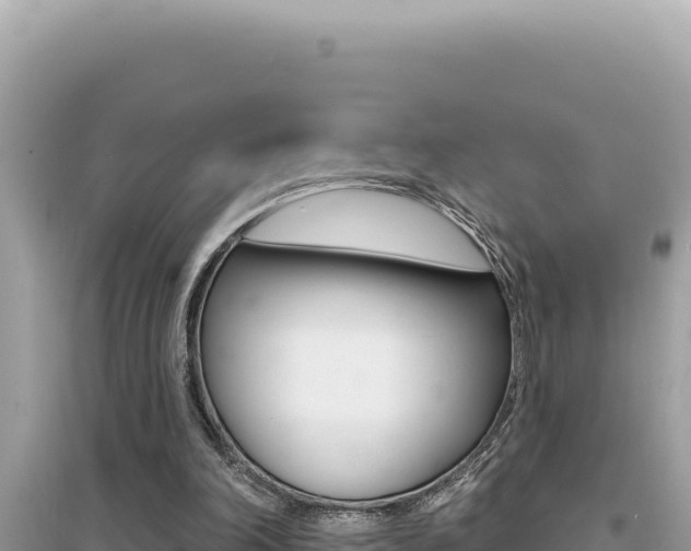 X0000095130198200712071016