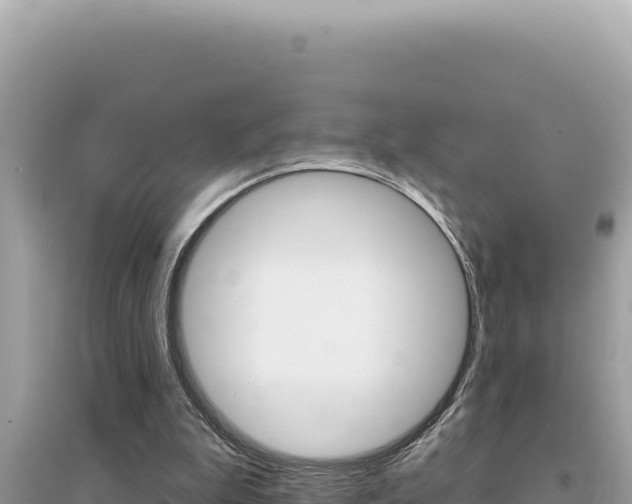 X0000095130199200712071016