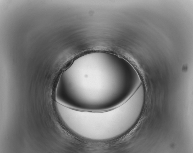 X0000095130201200712071016