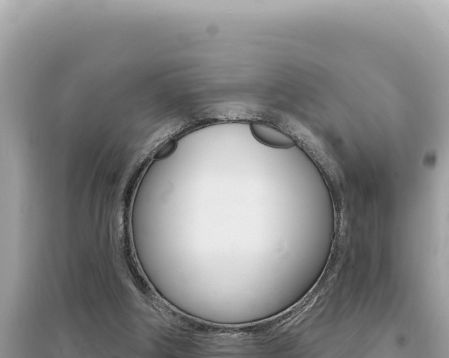 X0000095130202200712071016