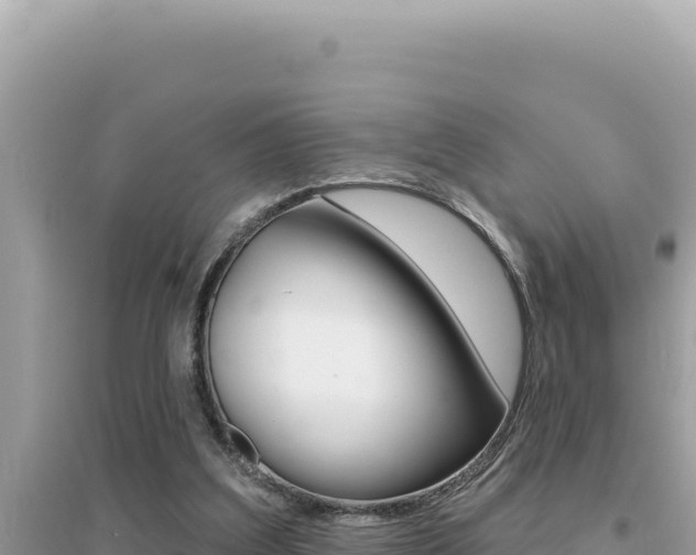 X0000095130203200712071016