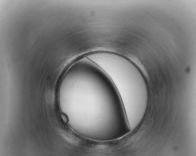 X0000095130204200712071016