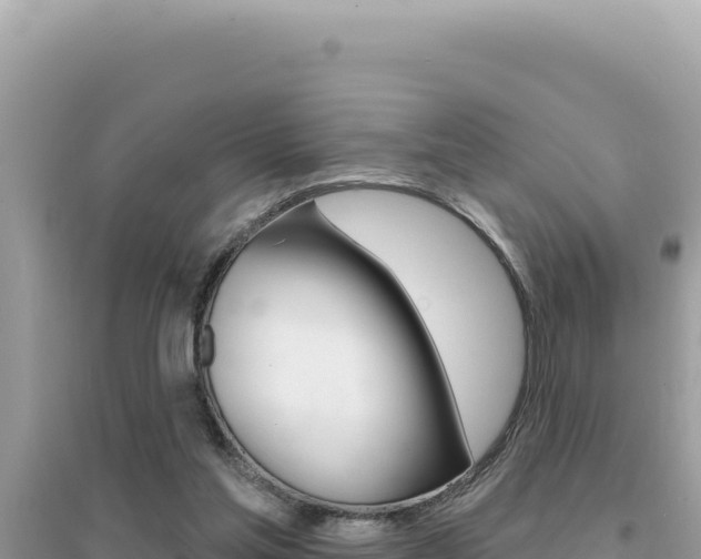 X0000095130205200712071016