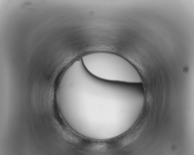 X0000095130206200712071016