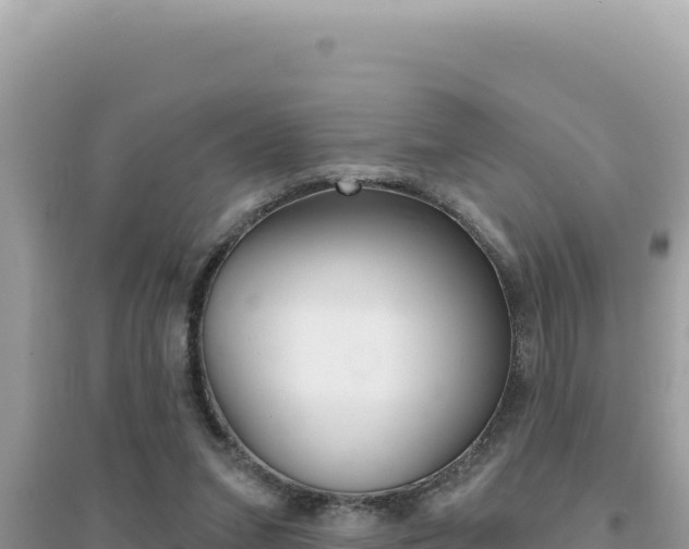 X0000095130207200712071016