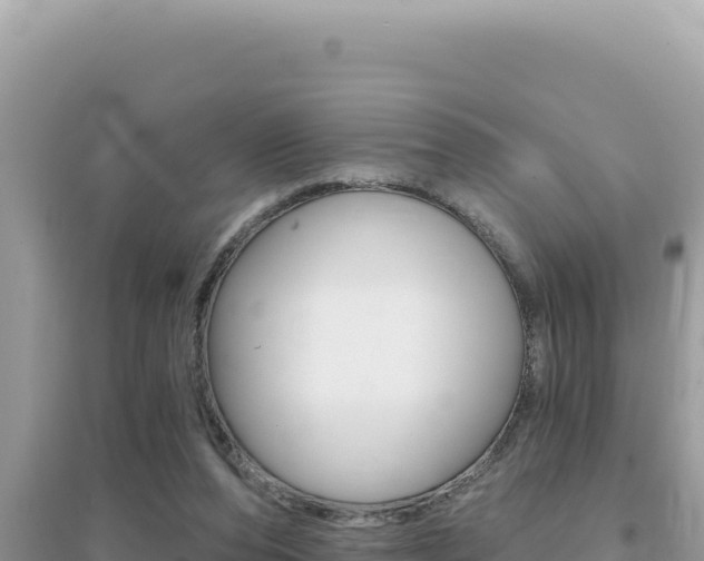 X0000095130208200712071016