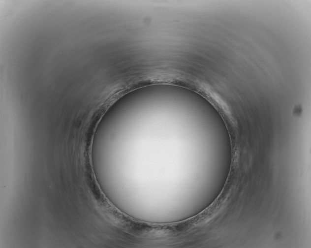 X0000095130209200712071016