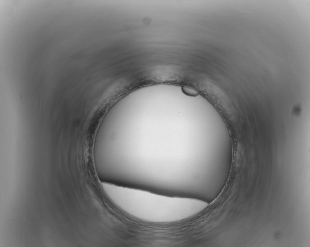 X0000095130210200712071016