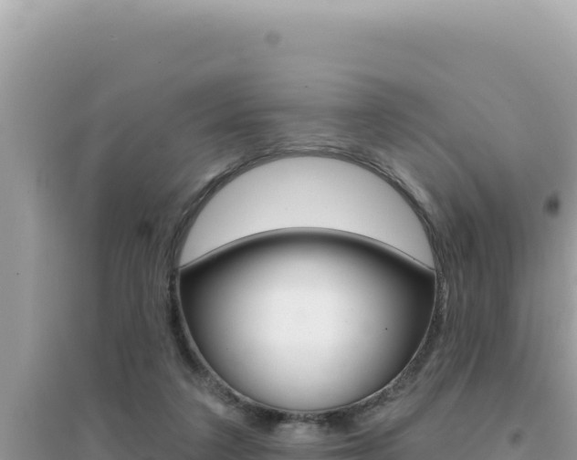 X0000095130211200712071016