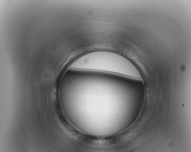 X0000095130212200712071016