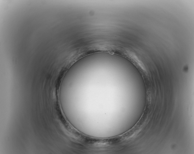 X0000095130213200712071016