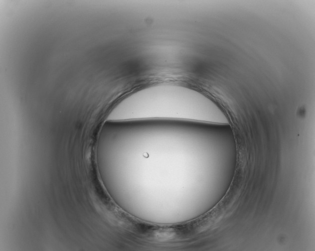 X0000095130214200712071016
