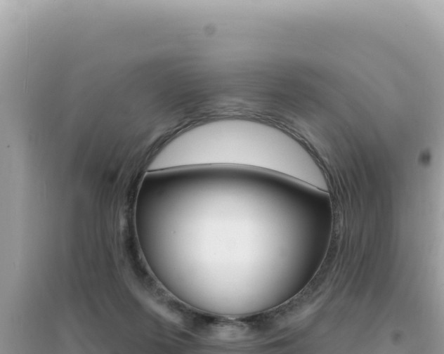 X0000095130215200712071016