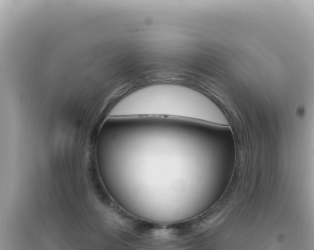 X0000095130216200712071016