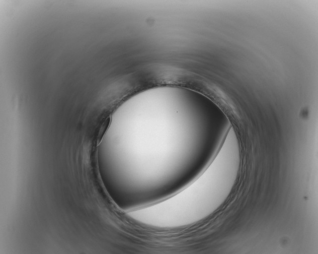 X0000095130217200712071016