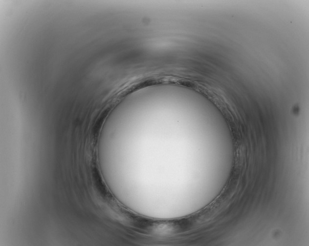 X0000095130218200712071016