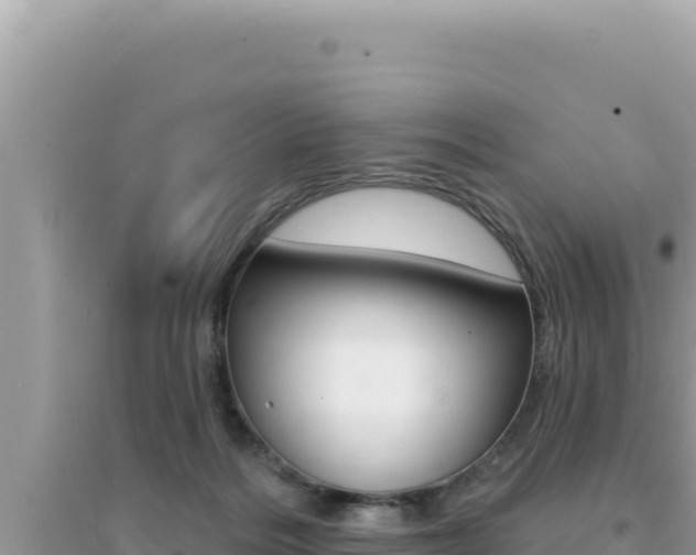 X0000095130220200712071016