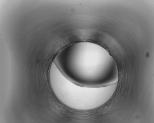 X0000095130221200712071016