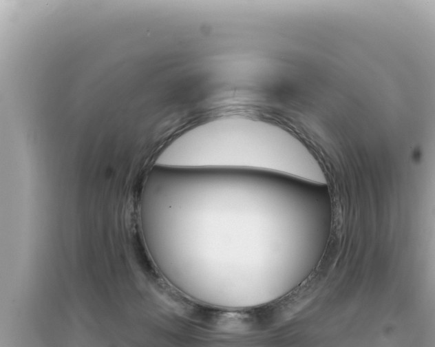 X0000095130222200712071016