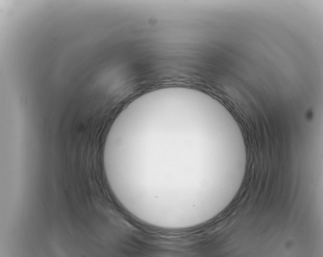 X0000095130223200712071016