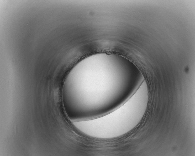 X0000095130224200712071016