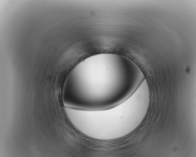 X0000095130225200712071016