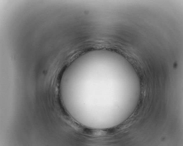 X0000095130226200712071016