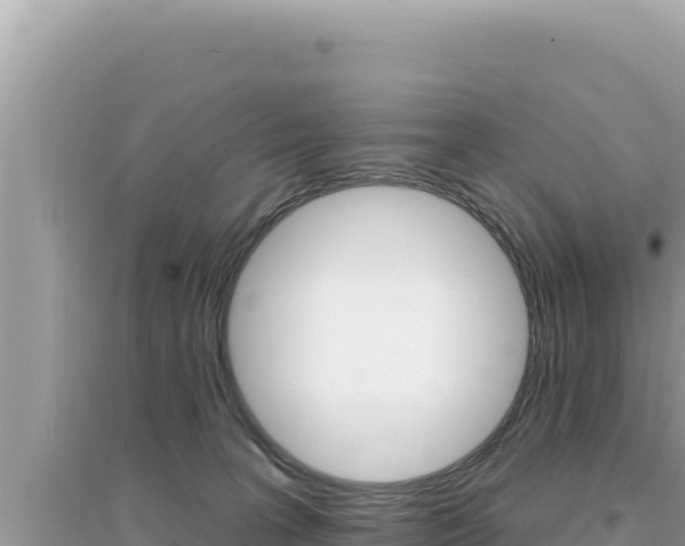 X0000095130227200712071016