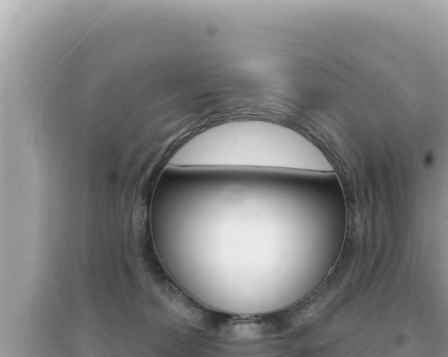 X0000095130228200712071016