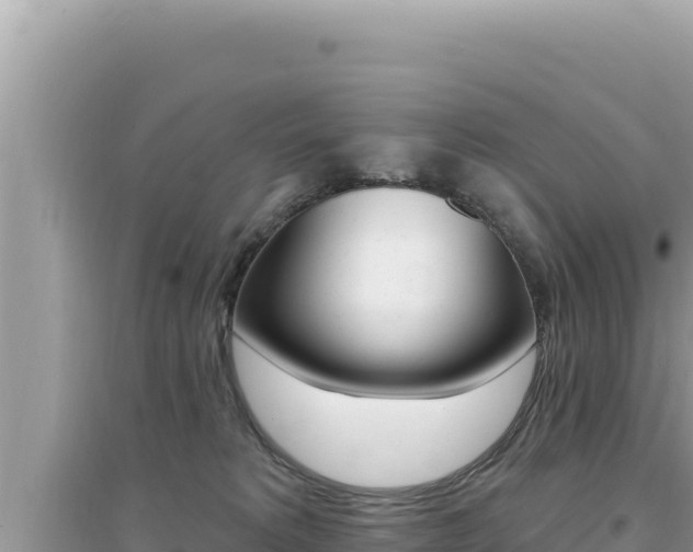 X0000095130229200712071016