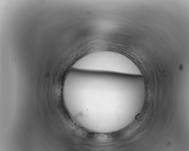 X0000095130230200712071016