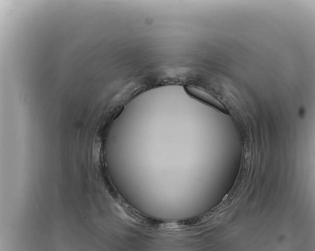 X0000095130231200712071016